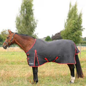 Nouveau matériau 600D, couverture rectangulaire légère pour chevaux, fabriquée en Chine, certifiée par le fabricant, très vendue, protection contre le froid hivernal - Product Image 2