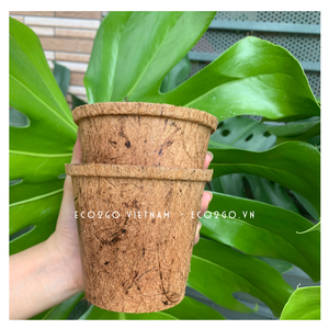 Macetas Redondas de Fibra de Coco Ecológicas, Código 3071, Hechas en Vietnam, Venta al Por Mayor - Product Image 5