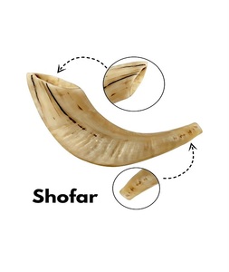 Shofar authentique traditionnel en corne de bélier, fait main, forme personnalisée, en matériaux écologiques et biologiques, pour les fêtes juives et la maison - Product Image 2
