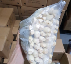 Hierba Limón Congelada IQF, Hierba Limón Congelada Picada, Empaquetado a Granel, Precio Económico de Vietnam, Venta al por Mayor 2025 - Product Image 6