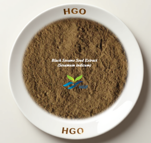 Suministro Directo de Fábrica HGO de Extracto Natural de Semilla de Sésamo Negro (Sesamum indicum) Grado Alimenticio Especificación 10:1 - Product Image 1