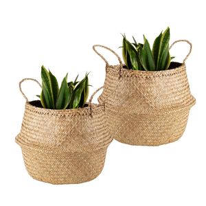 Decorative Handmade PHU HAO Brand Natural STRAW BELLY <b>BASKETS</b> for Kitchen and Living Room Storage - Product Image 1