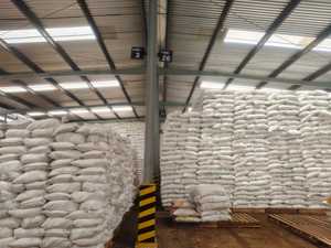 Fertilizante de urea Pupuk Indonesia Nitrea 50 kg 46% N en gránulos de liberación rápida para uso agrícola - Product Image 4
