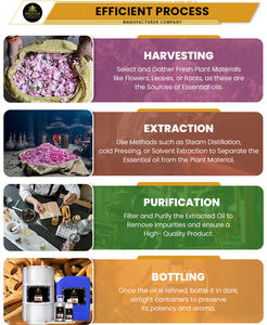 Aceite Esencial de Rosa Damascena, Destilado al Vapor, para Productos de Belleza Natural - Product Image 6