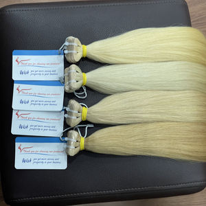 Extensions de cheveux Remy vietnamiennes à bandes adhésives, en gros, cheveux humains, texture douce et naturelle, légères, faciles à installer, réutilisables - Product Image 1