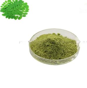 Poudre de feuilles de Moringa de qualité supérieure pour la fabrication de produits à base de plantes, poudre naturelle à base de plantes pour les marchés de détail et de gros - Product Image 2