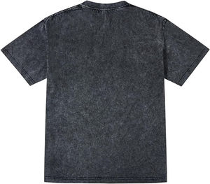 Camiseta Lisa Personalizada al por Mayor, 250 g/m², Algodón, Corte Holgado, Impresión DTG, Camiseta Corta para Hombre - Product Image 2
