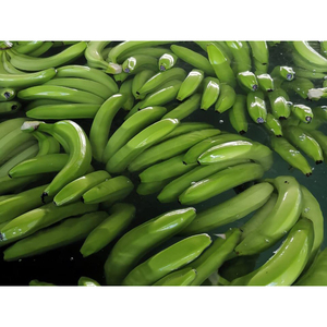 Bananes Cavendish vertes fraîches de qualité export, bananes brutes pour la distribution en gros et l'industrie alimentaire - Product Image 3