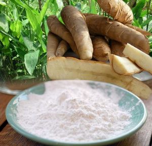 FRESCO EN STOCK: ALmidón de Arrowroot de Vietnam – Ingrediente Natural Premium para Fabricantes - Product Image 4