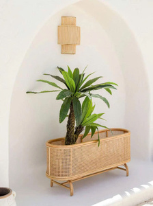 Maceta Herbi Planter, Diseño Innovador, Hecha a Mano con Ratán Natural para Decorar tu Jardín, Fabricada en Vietnam por Mayoristas - Product Image 5