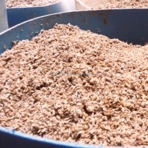 Bagasse de canne à sucre du Vietnam – Matériau en fibre naturelle pour l'alimentation animale - Product Image 5
