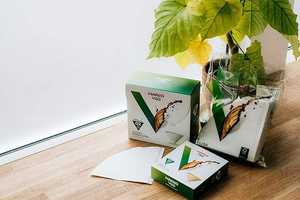 Paquete Económico de Filtros de Papel Blancos Tamaño 02 para Cafeteras Cónicas, Resistentes a Altas Temperaturas, 100 Unidades - Product Image 4