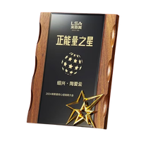 Plaque de récompense murale ou de bureau personnalisée en bois, certificat de licence de marque premium, trophée en bois avec étoile dorée en métal