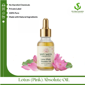 Aceite Absoluto de Loto Rosa Premium para la Fabricación de Productos Aromáticos y Requisitos de Empaque Industrial Internacional - Product Image 1