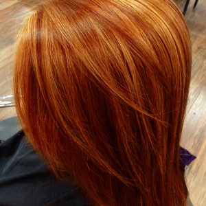 Polvo orgánico de Henna Rajasthani, tinte para el cabello semipermanente Natural de alta calidad, exportación más vendida para compradores globales, precio a granel - Product Image 2