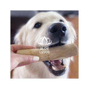 [MEILLEURES VENTES] |   Bâton à mâcher pour chien en bois de café, durable, pour le nettoyage des dents, jouet interactif sûr pour animaux de compagnie, anti-stress, Vietnam - Product Image 1