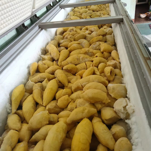 Mejor Vendedor 2026: Pulpa de Durian Congelada - Grado Premium Sin Semillas - Product Image 1