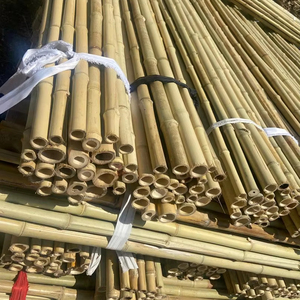 Vietnamese Bamboo <b>Poles</b> Wholesale Price Raw Bamboo <b>Poles</b> <b>for</b> <b>Gardening</b> and Decoration - Bamboo <b>Pole</b> 100% Natural - Product Image 1