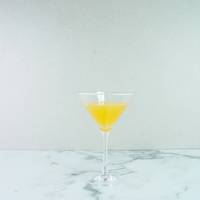 [Holar] Taiwan Gemaakt Duurzaam Lichtgewicht Plastic Martini Glas Voor Cocktails Desserts Restaurants Bruiloften Bar