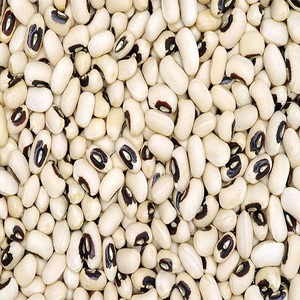 Haricots noirs frais pour la cuisine quotidienne, aux grains uniformes, excellente texture et qualité fiable à un prix compétitif sur le marché. - Product Image 5