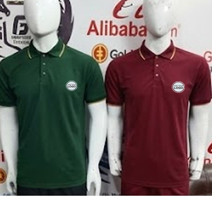Camisetas Polo Bordadas Personalizadas para Fraternidades y Hermandades, Camisetas Polo Personalizadas de Calidad de Librería Universitaria, Camiseta Polo Personalizada Premium - Product Image 2
