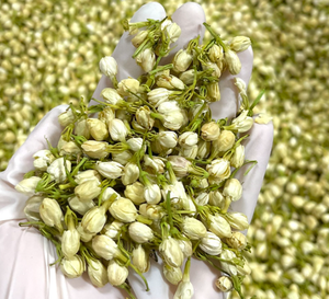 Vietnam Premium Jasmine Bud <b>Tea</b> Selected Dried Flower <b>Tea</b> Whole Bud For Cup <b>Infusion</b> Dried Flower Buds Wholesale - Product Image 2