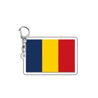 Porte-clés rectangulaire en acrylique BOYUN 2026, motif dessin animé drapeau national, souvenir lumineux, petit cadeau de collection, vente en gros