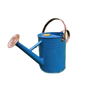 Arrosoir en métal au design exclusif, finition bleue, pour la maison et le jardin, porte-fleurs - Product Image 1