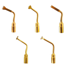 Kit de pointes de chirurgie piézoélectrique dentaire Woodpecker par ROBOZ TECH - Product Image 2