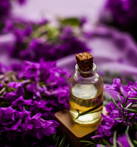 Aceite Esencial de Lavanda Orgánico, Alivio Natural del Estrés, Aceite Nutritivo para la Piel y el Cabello, Destilado al Vapor, Empaquetado al por Mayor - Product Image 2