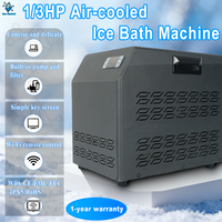 Mini enfriador de baño de hielo de 0,3 HP para el hogar con bomba y filtro enfriador de inmersión en frío Wifi Control remoto para recuperación posterior al ejercicio