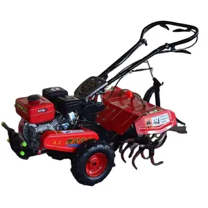 Mini trator rotativo para caminhada, máquina agrícola com duas rodas diesel 10hp