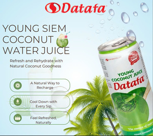 มะพร้าวเนื้อมะพร้าวอ่อนน้ำมะพร้าวสดคุณภาพสูงแถมตัวอย่างฟรีจากเวียดนาม - Product Image 6