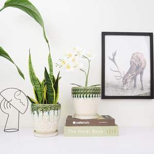 Pot de fleurs en céramique de haute qualité avec surface polie et lisse. Pot de fleurs décoratif en céramique pour chambre, salon et bureau. - Product Image 1