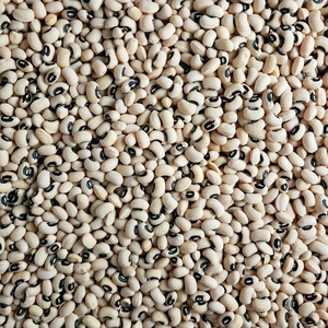 Haricots noirs séchés de qualité supérieure, riches en protéines et en fibres, 100% naturels, emballés sous vide, en vrac, 25 kg - Product Image 6