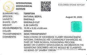 Émeraude octogonale verte de 5,28 carats provenant de Zambie, pierre précieuse brute ETSG-334 - Product Image 6