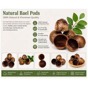 AQUA VRIKSHA Cápsulas Naturales de Bael para Acuarios, Peceras de Betta, Peceras de Camarones y Acuapaisajismo |   Paquete de 2 - Product Image 1