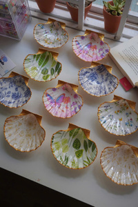 Coquilles de pétoncle naturelles en vrac pour l'artisanat, la décoration de mariage et la décoration intérieure de style océanique - Product Image 6