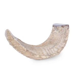 Shofar Auténtico de Cuerno de Carnero, Instrumento de Soplo Artesanal para Oración, Neha Enterprises, Culto Religioso, Sinagoga, Festival - Product Image 3