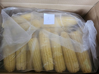 Vietnam diepvries zoete maïs kolfjes, volledig gekookt en individueel snelgevroren, uit Vietnamese fabriek voor voedsel, fruit en landbouw.