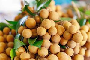 Longan Seco Suave Gourmet del Río Mekong, Dulce y Masticable, Selección Premium - Product Image 3