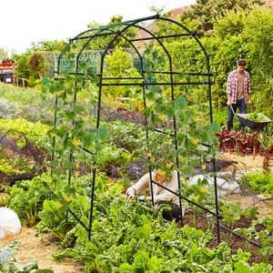 Arco da Giardino in Metallo Rivestito in PE da 2,3 Metri, Elegante Recinzione e Cancello per Esterni - Product Image 2