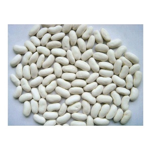 Precio de Mercado de Frijoles Blancos de Alta Calidad - Product Image 5