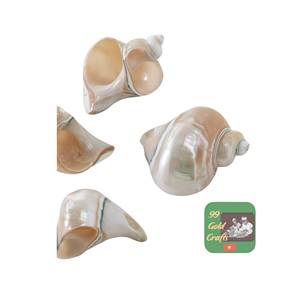 VENTE FLASH - Porte-serviettes en coquillages naturels du Vietnam, coquillages écologiques, fabrication artisanale, souvenir, taille personnalisable - Product Image 5