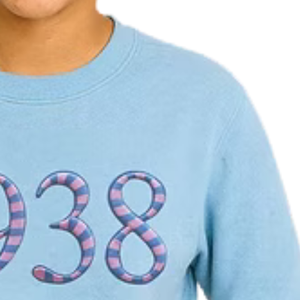 เสื้อสเวตเชิ้ตปักลายนูน 3 มิติ สีฟ้าอ่อนสำหรับเด็กผู้หญิง เสื้อแขนยาวลำลอง สวมใส่สบายทุกวัน เสื้อผ้าสไตล์ไลฟ์สไตล์ - Product Image 3