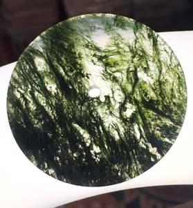 Esfera de Reloj de Ágata Musgosa Natural con Inclusiones Dendríticas de 31.50mm, Accesorios Sueltos para Relojes, Gema - Product Image 3