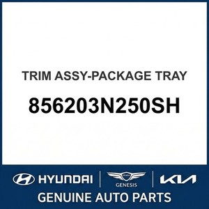 อุปกรณ์ตกแต่งตัวถังและขอบประตูรถยนต์ Equus รุ่นใหม่ 856203N250SH - Product Image 1