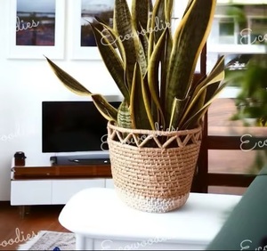Pot de fleurs en rotin tressé fait main, style bohème, décoration de plantes d'intérieur, finition naturelle, utilisation sur bureau - Product Image 5