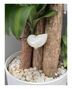 Verre à vin inspiré de l'océan, en forme de coquillage, pour les intérieurs côtiers, les maisons de plage et les décorations de table - Product Image 6