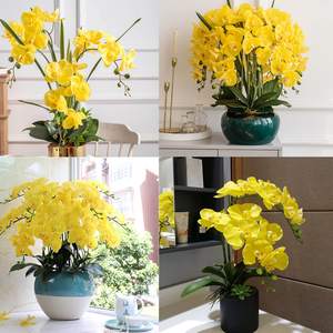 THAF-004 Fleurs d'orchidées Phalaenopsis artificielles en latex de 32 pouces, tiges de plantes pour la décoration de la maison - Product Image 4